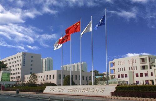 中国石化长城润滑油荣获国际首批全球最高标准汽油机油认证，引领润滑油零售新标杆