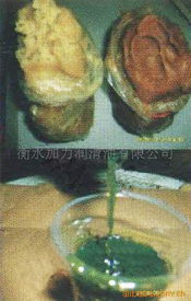 衡水加力润滑油 零售市场的品质守护者